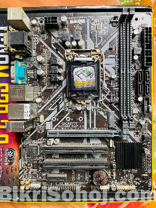 Gigabyte H310M S2P 2.0 Motherboard